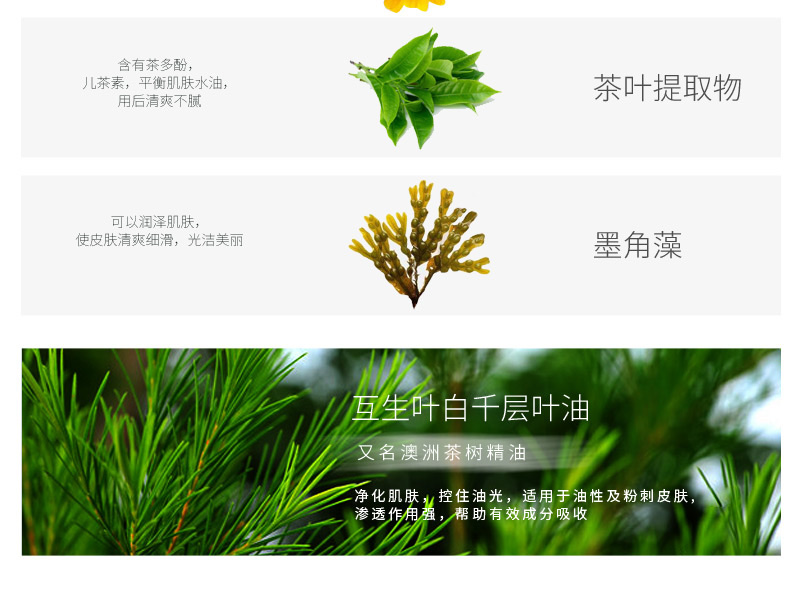 北美金缕梅, 金盏花,茶叶提取物,墨角藻,互生叶白千层叶油