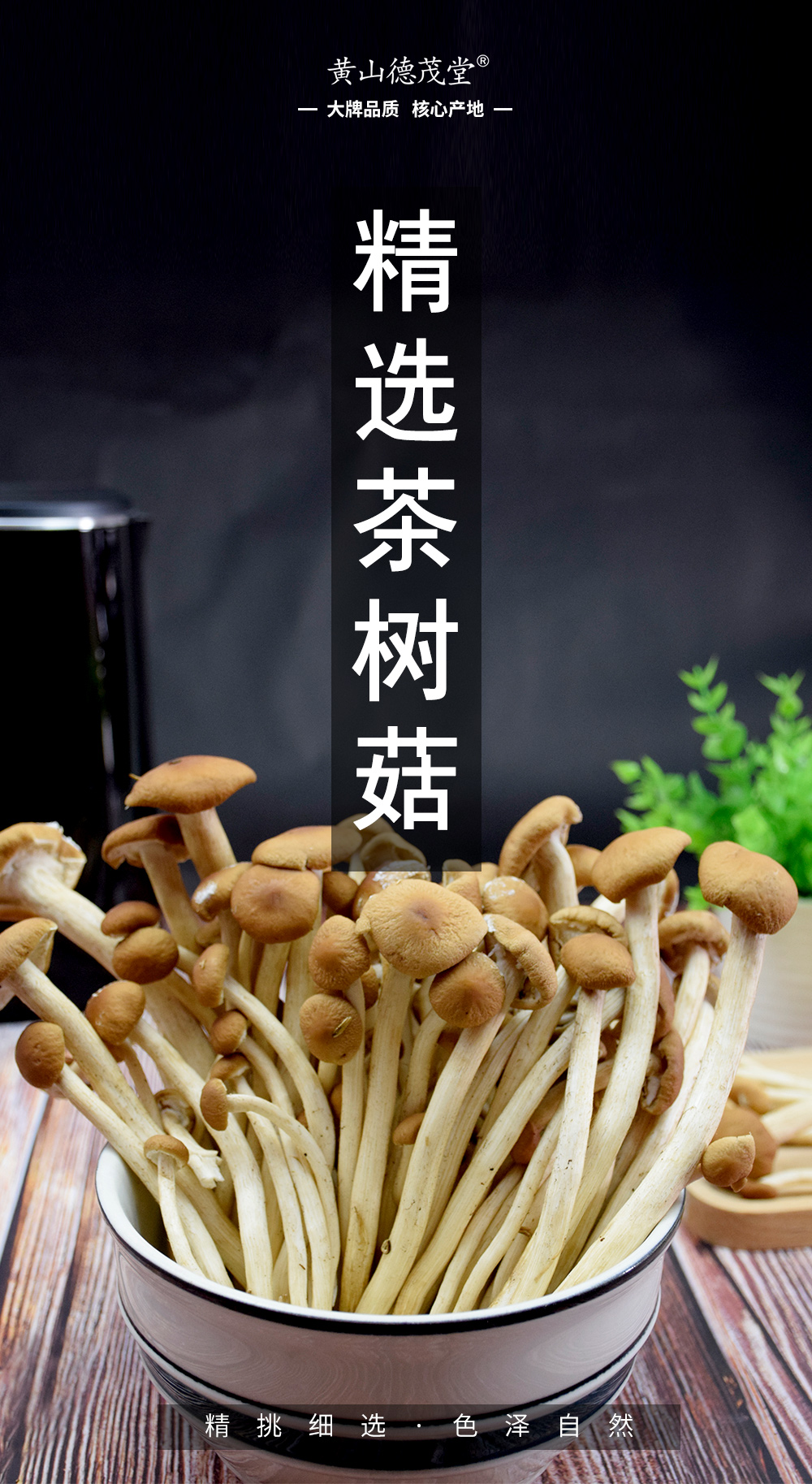 精选茶树菇(新鲜)